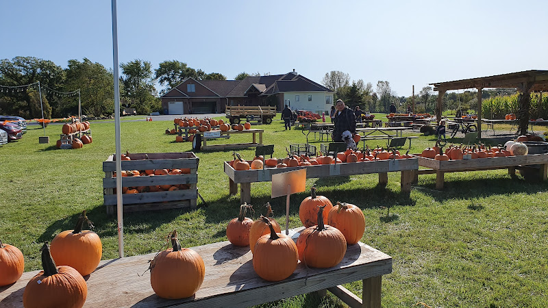 Hidden Creek Family Farm - photo