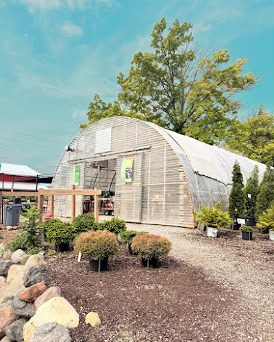 Blooms Garden Center • Nursery, Bistro & Gift Shop — Outdoor Venue in Marion, Iowa
