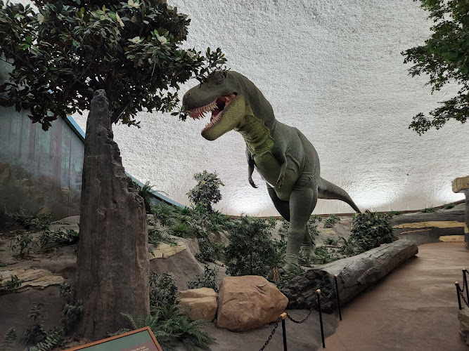 Sternberg Museum of Natural History — Aquarium in Hays, Kansas