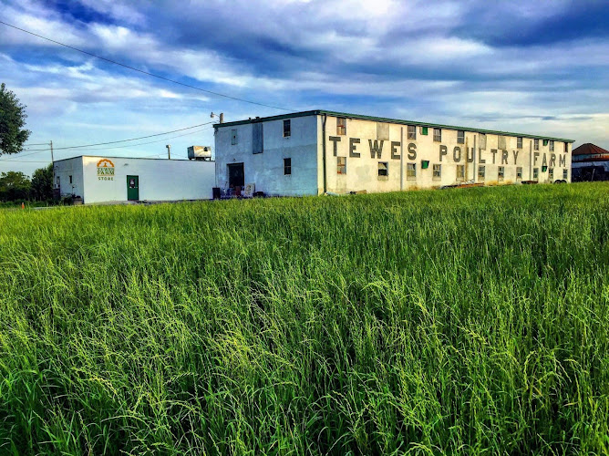 Tewes Farm — Barn or Farm in Erlanger, Kentucky