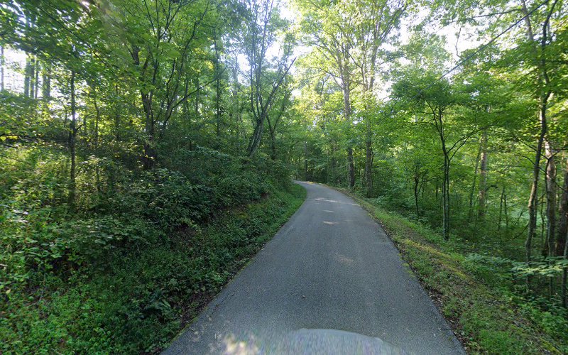 Laurel Lewis Hollow - photo