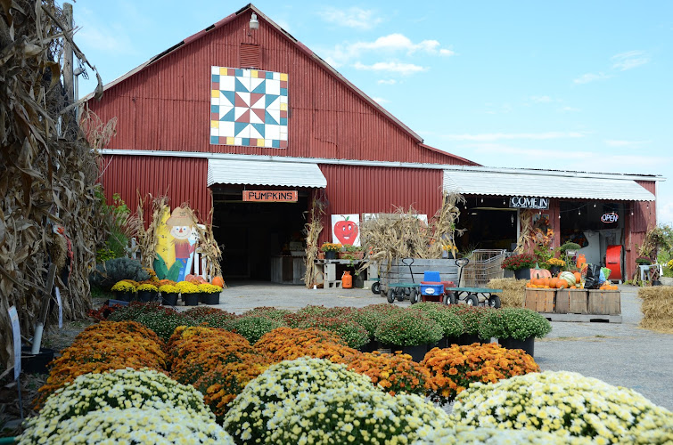 Huyck Farms — Barn or Farm in Paducah, Kentucky