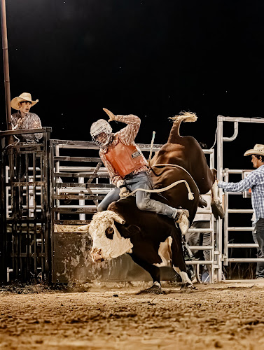 Rockin A Bucking Bulls - photo