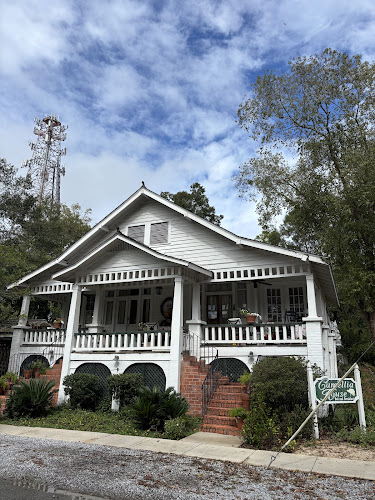Camellia House Bed and Breakfast - photo