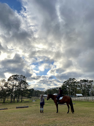 Over the Moon Farm - corporateevents.at