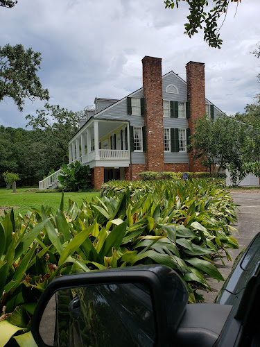Crescent Farm Plantation Oaks - photo