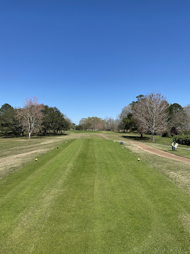 Cane Row Golf & Turf Club - photo
