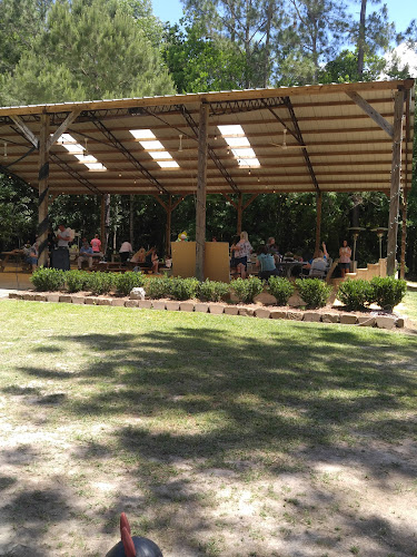 Northshoreridingclub Stable and Barn facility — Barn or Farm in Slidell, Louisiana