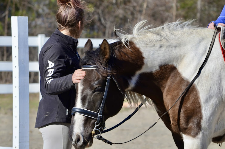 Living Wells Farm Equine-Assisted Services — Barn or Farm in Wells, Maine