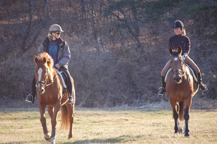 White Birch Farm - photo