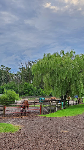 Dun-Pikin Farm - corporateevents.at