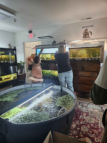 Father Fish Aquarium - photo