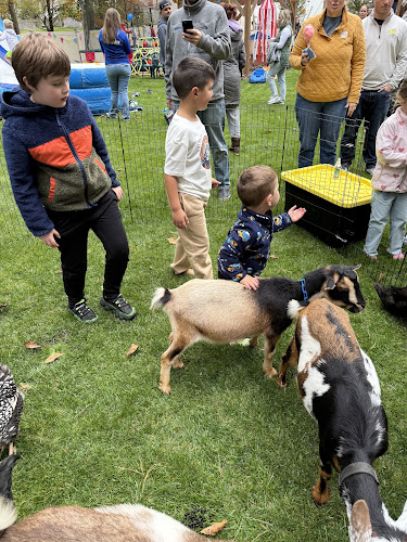 Enchanted Animal Parties - corporateevents.at