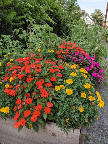 Malden Community Garden — Outdoor Venue in Malden, Massachusetts