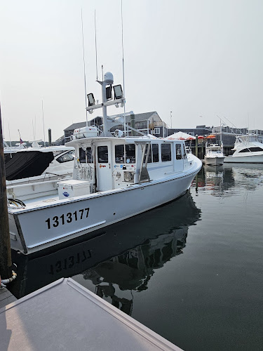 Cape Ann's Marina Resort - photo