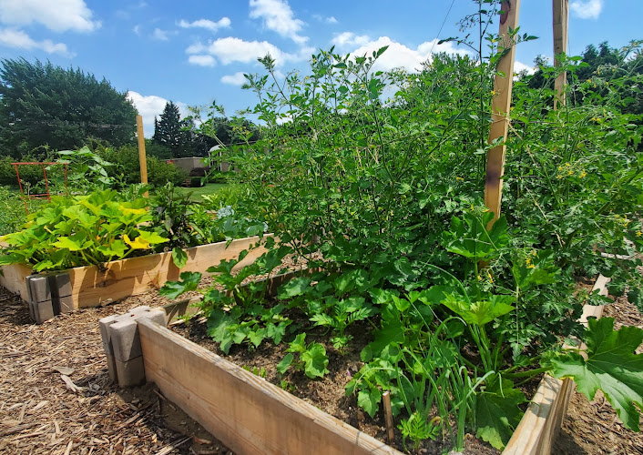 Littlefield Community Garden — Zoo or Garden in Troy, Michigan