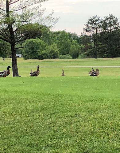 Mack Mayfield Municipal Golf Course - photo