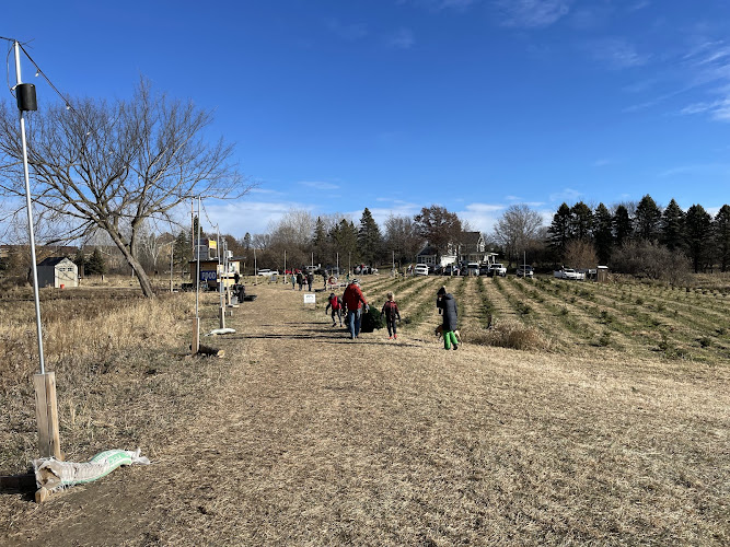 Kingdom Acres Fall Fest & Christmas Tree Farm — Barn or Farm in Maple Grove, Minnesota