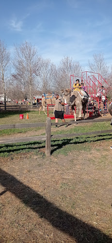 Sever's Corn Maze & Farm Market - photo