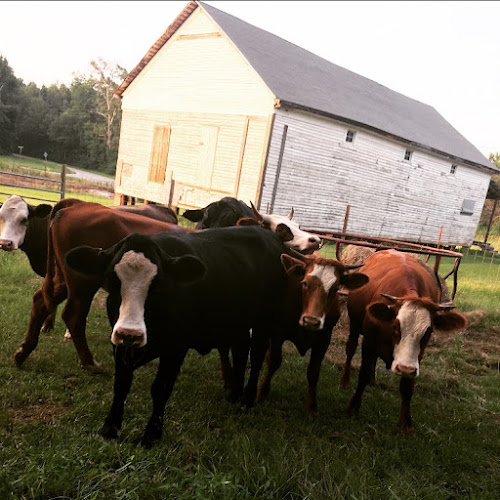 Topton Farms — Barn or Farm in Meridian, Mississippi