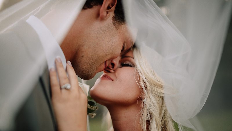 AMPV, LLC- Ashlea Marie Photography and Videography - photo