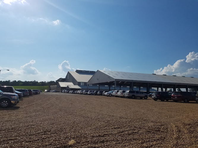 Mississippi Horse Park - photo
