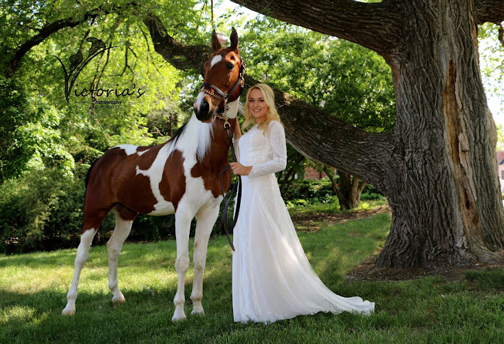 Liberty Farm Equestrian Center — Barn or Farm in Liberty, Missouri