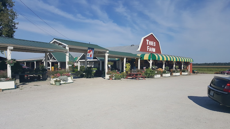 Thies Farm & Market - photo