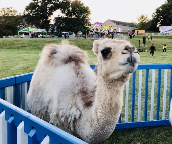 Animals *R* Us - Mobile Petting Zoo - corporateevents.at