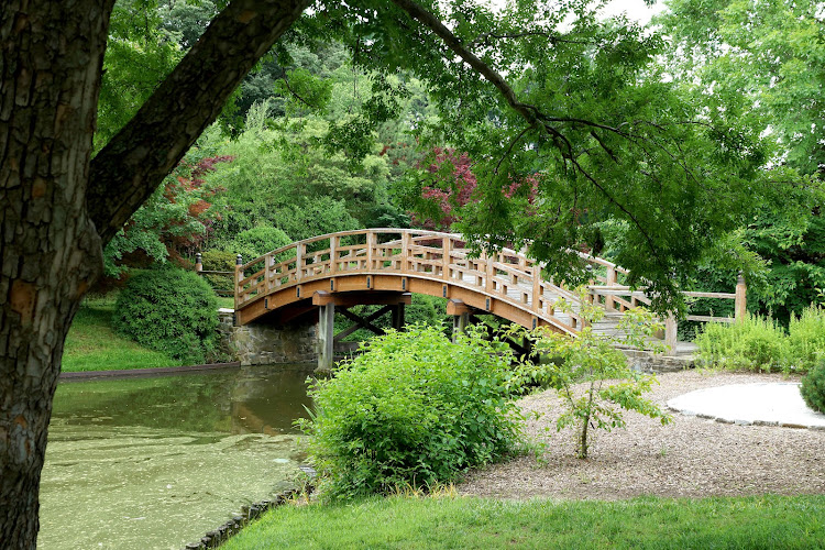 Japanese Garden - corporateevents.at