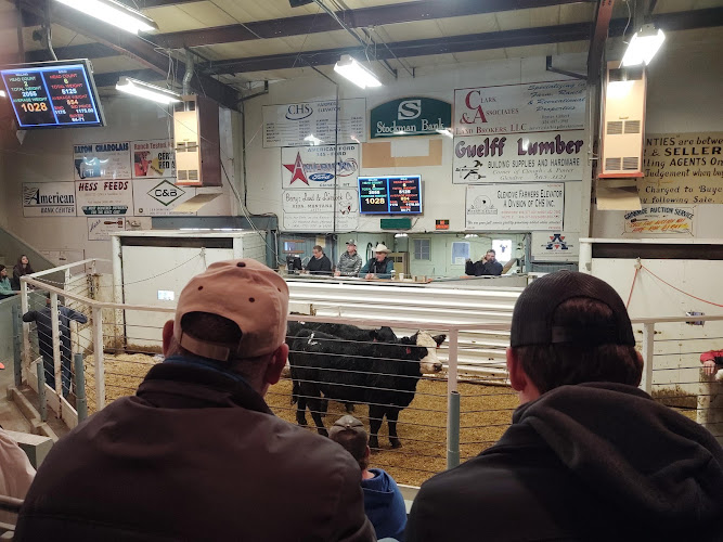 Glendive Livestock Exchange - photo