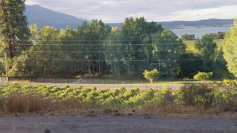 Spotted Bear Vineyards & Lavender Farm — Winery in Polson, Montana