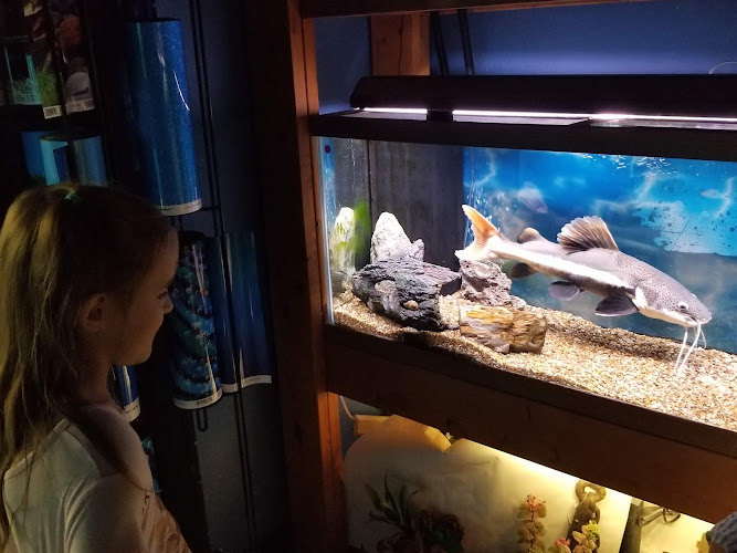 Plymouth Pet & Aquarium — Aquarium in Durham, New Hampshire