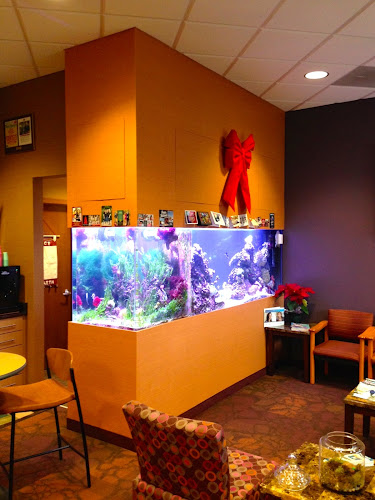Creation of the Sea, LLC — Aquarium in Morristown, New Jersey
