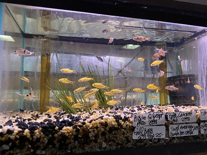 Ely's Tropical Fish - corporateevents.at