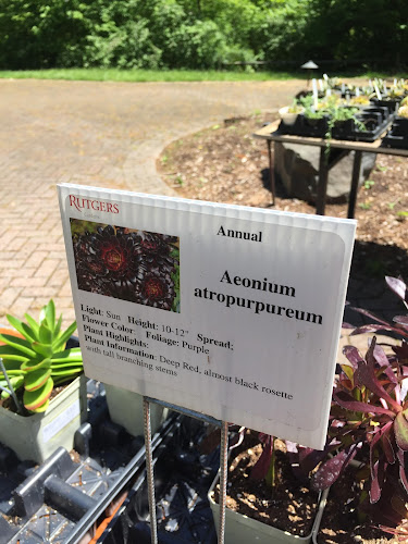 Garden Club of New Jersey - photo