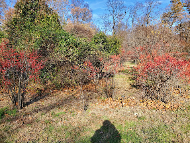 Rutgers Gardens Via Helyar Woods Trail — Zoo or Garden in New Brunswick, New Jersey