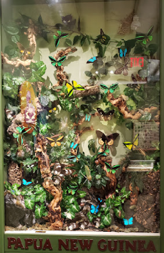 Insectropolis - corporateevents.at