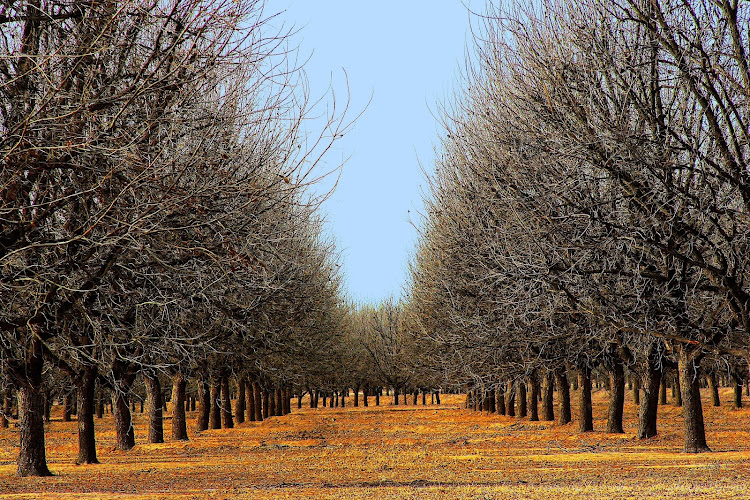 Seven Rivers Farms, LLC - photo