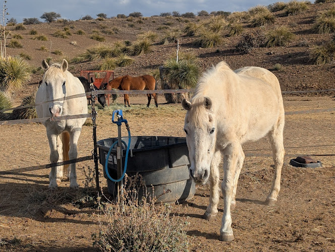 End of the Road Ranch - photo