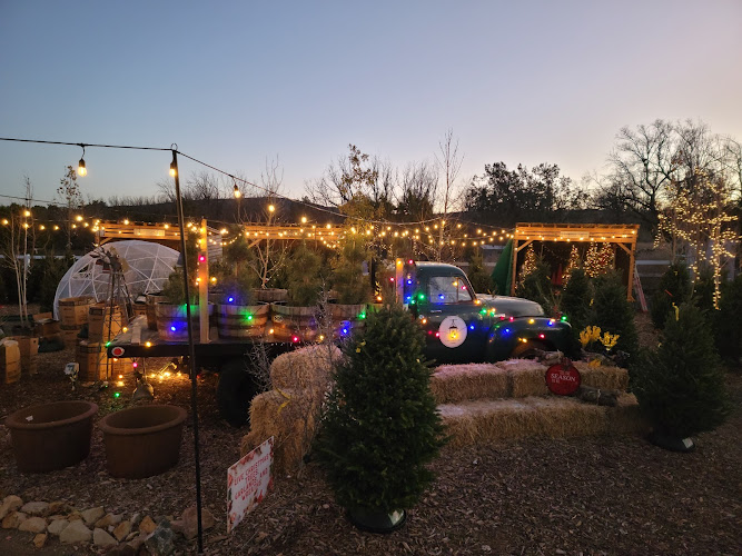 Lantern Ridge Farm Market And Nursery — Barn or Farm in White Rock, New Mexico