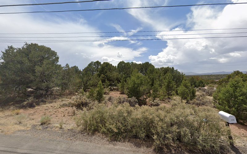 The Pajarito House - photo