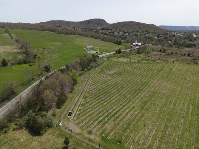 Océane Vineyards and Winery - corporateevents.at