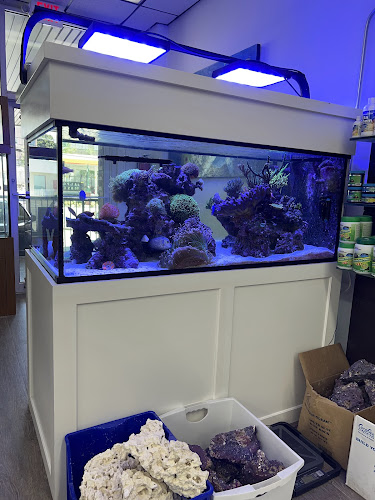 Jawz Aquarium — Aquarium in White Plains, New York