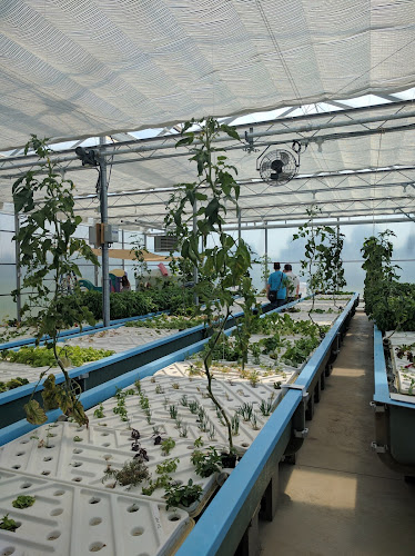 Oasis Aqua Farm - corporateevents.at