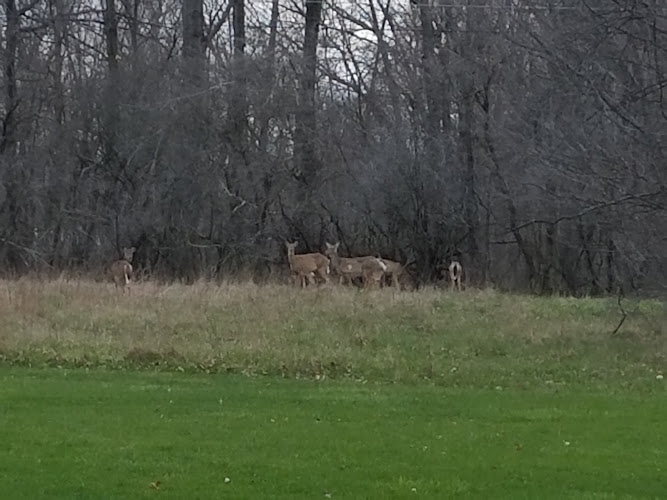 Lorain County Metro Parks High Meadows Shelter #1 - corporateevents.at