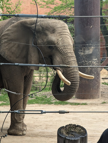 Nature's Neighborhood — Zoo or Garden in Toledo, Ohio