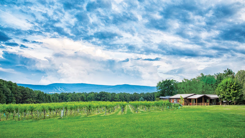 Mount Nittany Vineyard and Winery - corporateevents.at