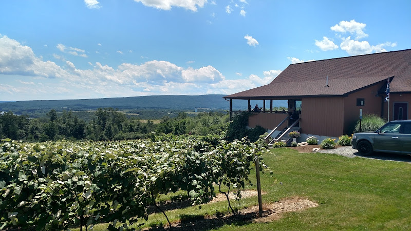 Four Friends Vineyard & Winery - photo