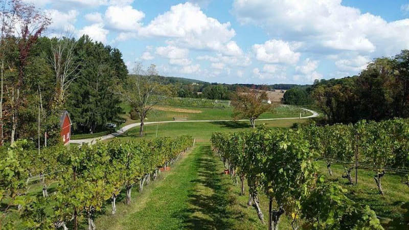 Balla Cloiche Vineyards - corporateevents.at